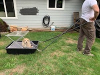 a man pulling a cart with a dog in it